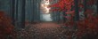 © Влада Яковенко - Enchanting autumn forest path with vibrant red leaves and misty atmosphere