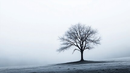 Aufkleber - Solitary tree standing alone in a foggy landscape with minimalistic aesthetics and soft tones creating a peaceful atmosphere : Generative AI