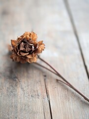 Wall Mural - Dried flower on rustic wooden table highlighting the delicate structure and natural beauty of nature : Generative AI