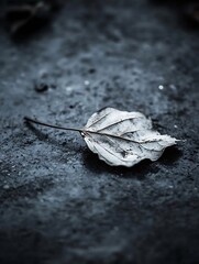 Poster - Close up of a dry and fragile leaf resting on a textured surface highlighting its natural beauty : Generative AI