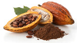 Cocoa fruit with cocoa bean and cacao powder isolated on a transparent background