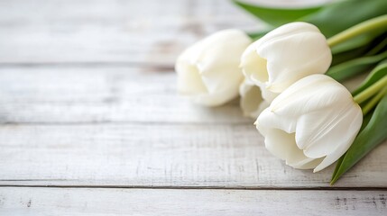 Poster - Fresh White Tulips Arranged on a Rustic Wooden Surface Creating a Serene Aesthetic : Generative AI