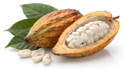 Open Cacao Pod with White Beans and Whole Pods cut out transparent isolated on white background PNG