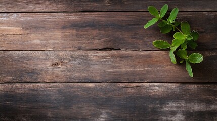 Poster - Fresh Green Herbs on Rustic Wooden Background with Natural Textures and Warm Tones : Generative AI