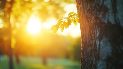 Aufkleber - Sunlight Filtering Through Leaves on a Tree with Vibrant Greenery in Background : Generative AI