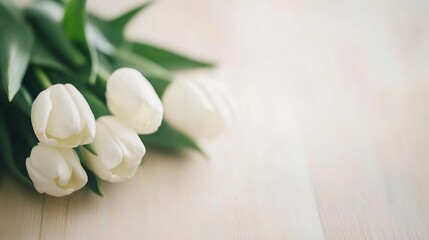 Leinwandbilder - Elegant white tulips with lush green leaves arranged beautifully on a soft wooden background : Generative AI