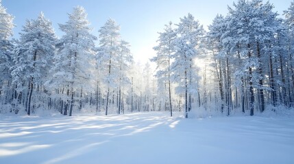 Poster - Snowy winter landscape featuring sunlit trees surrounded by fresh white snow : Generative AI