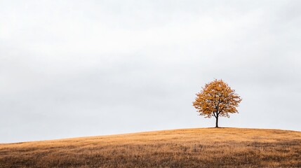 Poster - Solitary tree standing on a hill with autumn leaves under overcast sky : Generative AI