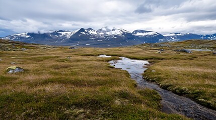 Poster - Tranquil landscape featuring a gentle stream flowing through a vast green meadow with mountain backdrop : Generative AI