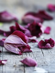 Poster - Scattered rose petals on a textured wooden surface creating a romantic and gentle ambiance for nature lovers : Generative AI