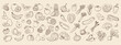 © Tatiana - Set of sketch vegetables and fruits. Collection of hand drawn farm products for restaurant menu, market label. Retro style illustration sketch