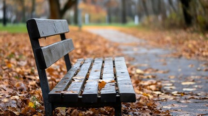 Poster - Solitary empty park bench surrounded by fallen leaves in autumn season : Generative AI