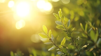 Poster - Luminous morning light filtering through vibrant green leaves creating a serene atmosphere : Generative AI