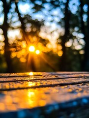 Poster - Beautiful Bokeh Effect of Sunset Glimmering Through Trees in Nature : Generative AI