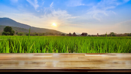 Wall Mural - empty wooden table on blur rice farms at sunset or sunrise dark and view landscape light on blue sky