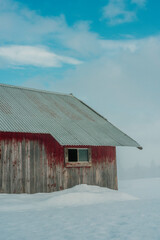 Wall Mural - a summer farm barn in the snow