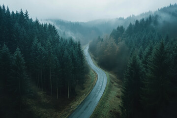Wall Mural - A winding road cuts through a dense, misty forest, enveloped in a serene and mysterious atmosphere under a cloudy sky.