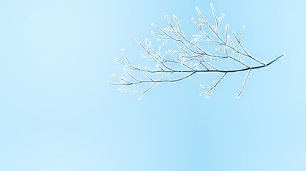 Wall Mural -   A close-up of a leaf on a tree branch with a blue sky in the background