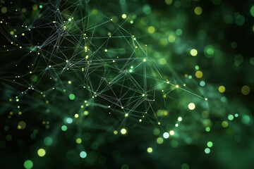 Global Digital Network Connections