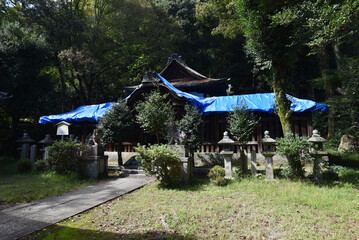 Wall Mural - 関蝉丸神社下社　本殿　滋賀県大津市