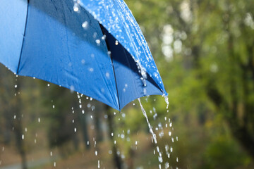 Wall Mural - Open blue umbrella under pouring rain outdoors, closeup