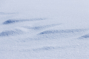 Wall Mural - shadows on flat light blue grainy snow surface in morning