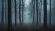 © TheWaterMeloonProjec - tall trees surrounded by fog in a misty forest