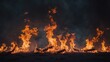 © TheWaterMeloonProjec - Fiery Abstract Background with Dancing Flames