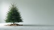 © TheWaterMeloonProjec - A solitary tall green fir tree is prominently placed on a white backdrop. Natural Christmas tree cut-out with height.