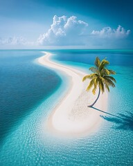 Poster - Breathtaking scene of a winding sandy beach with a lone palm tree illustrating tropical beauty : Generative AI