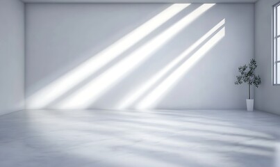 Fototapete - Bright, minimalistic interior space with sunlight streaming through windows and a potted plant in the corner.