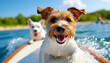 © bcendet - Happy dogs surfing ocean wave, beach background, summer fun