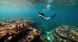 © indiyah - Woman Freediving in Blue Ocean with Coral Reef and Sunlight