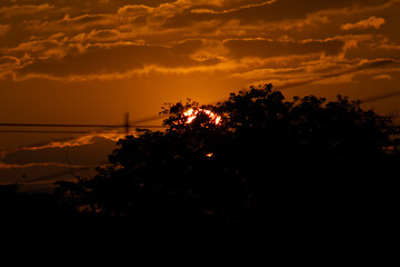 Wall Mural - sunset in the countryside of sri lanka, with silhouettes of trees and wires