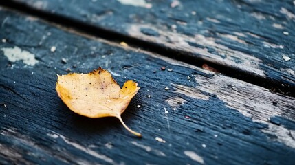 Leinwandbilder - Single autumn leaf resting on a weathered wooden surface showcasing the beauty of nature in detail : Generative AI