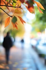 Poster - Autumn leaves in focus with blurred background capturing the beauty of fall season and peaceful moments : Generative AI