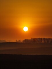 Canvas Print - Stunning Sunset Over Fields and Trees Creating a Warm and Inviting Atmosphere : Generative AI