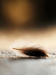 Poster - Delicate soft feather resting on a smooth surface illuminated by natural light : Generative AI