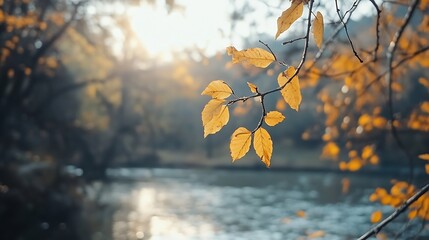 Poster - Glistening autumn leaves illuminated by soft sunlight near a serene river : Generative AI