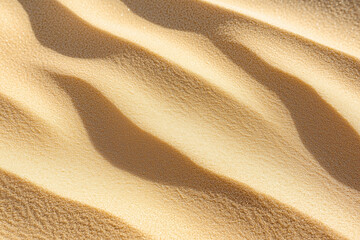 Poster - Rippled sand patterns in sunlit desert create serene landscape