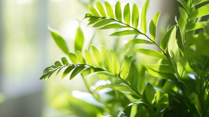 Aufkleber - Vibrant green leaves illuminated by soft sunlight creating a tranquil and serene atmosphere in a living space : Generative AI