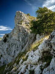 Wall Mural - Majestic Rocky Cliff with Green Trees and Blue Sky Perfect for Scenic Adventure : Generative AI