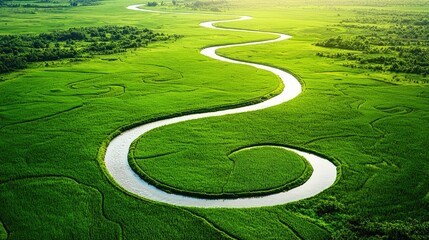 Wall Mural - Serpentine River Flowing Through Lush Green Landscape in Nature