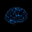 © Arslan - Low poly brain or Artificial intelligence concept. Symbol of Wisdom point. Abstract vector image of a human Brine. Low Polygonal wireframe blue illustration on dark background. Lines and dots