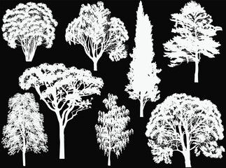 Wall Mural - different tree eight silhouettes isolated on black