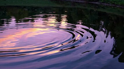 Fototapete - Ripples on calm water reflecting beautiful sunset colors in a serene landscape