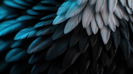 Wall Mural - Close-up view of vibrant feathers showcasing intricate patterns and textures in shades of blue and white