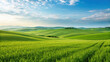 © Grace - vast green meadow under soft blue sky, showcasing gentle rolling hills and vibrant grass. serene landscape evokes sense of peace and tranquility