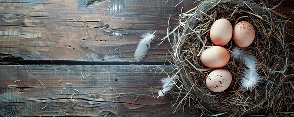 Wall Mural - A close-up of a bird’s nest with four speckled eggs resting on straw, surrounded by white feathers, placed on a rustic wooden background