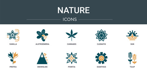 Wall Mural - set of 10 outline web nature icons such as vanilla, alstroemeria, cannabis, clematis, sun, protea, s